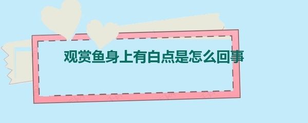 觀賞魚治療白點(diǎn)病期間能喂食嗎有毒嗎（觀賞魚治療白點(diǎn)病期間是否可以喂食以及喂食的安全性） 虎斑恐龍魚 第4張