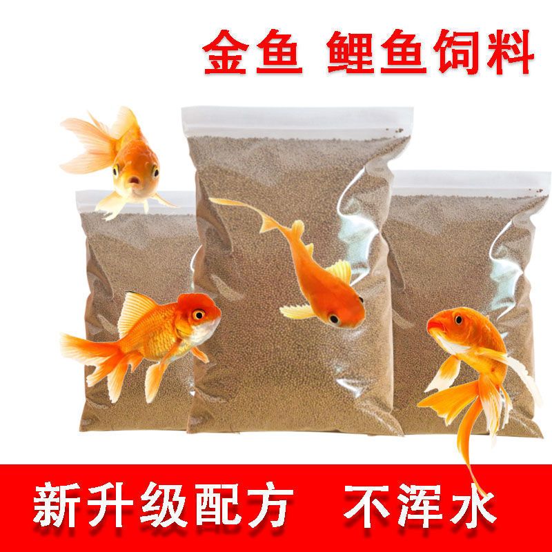 觀賞魚專用魚餌有哪些品種（如何選擇觀賞魚專用魚餌） 量子養(yǎng)魚技術(shù) 第4張