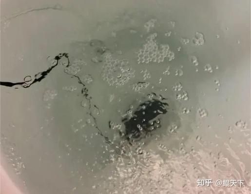 龍魚缸濾材放什么最好呢視頻（在龍魚缸濾材中加入海綿或?yàn)V棉，對(duì)水質(zhì)有什么影響？）