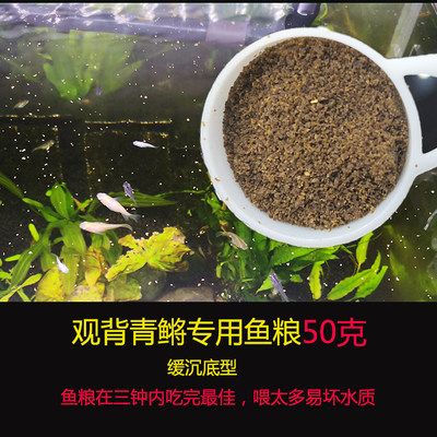 白色觀賞魚能喂增色飼料嗎有毒嗎（觀賞魚增色飼料的選擇與使用） 觀賞魚進出口 第3張