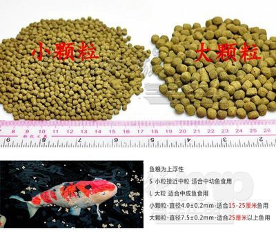 白色觀賞魚能喂增色飼料嗎有毒嗎（觀賞魚增色飼料的選擇與使用） 觀賞魚進出口 第2張