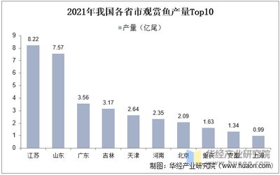 觀賞魚行業(yè)現(xiàn)狀（全球觀賞魚市場的競爭格局分析全球觀賞魚市場的競爭態(tài)勢）