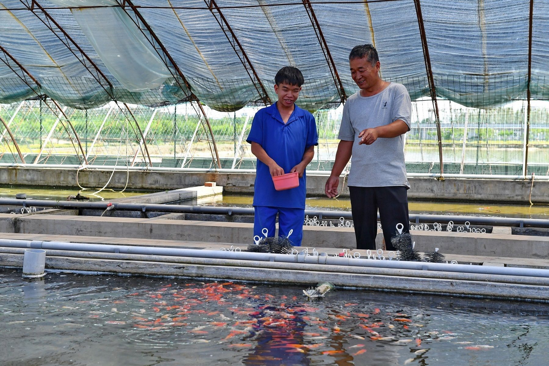 黑莊戶(hù)觀賞魚(yú)市場(chǎng)（北京黑莊戶(hù)觀賞魚(yú)市場(chǎng)） 廣州水族批發(fā)市場(chǎng) 第1張