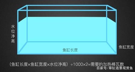 加熱棒瓦數(shù)怎么選擇（加熱棒瓦數(shù)選擇與使用） 魚缸等水族設(shè)備 第4張