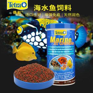 海魚觀賞魚怎么樣喂食（海水觀賞魚的喂食方法） 海水魚 第2張