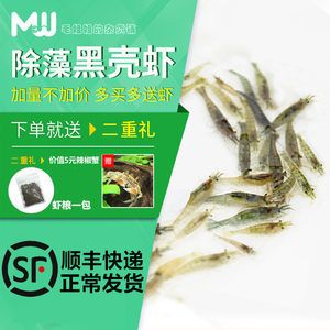 觀賞魚專用（觀賞魚的養(yǎng)護） 老魚匠 第1張