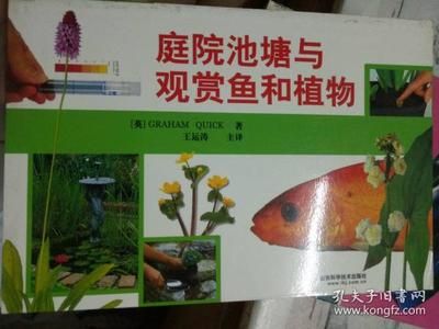 觀賞魚屬于動物嗎還是植物（觀賞魚屬于動物界，而不是植物界） 龍魚專用燈 第1張