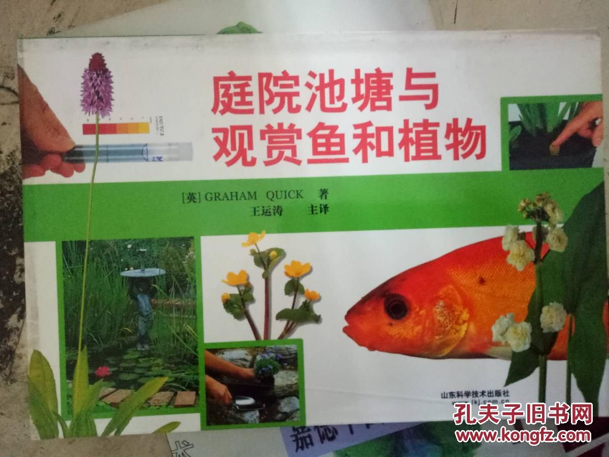 觀賞魚屬于動物嗎還是植物（觀賞魚屬于動物界，而不是植物界） 龍魚專用燈 第3張