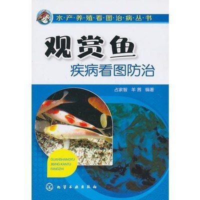 觀賞魚疾病看圖防治（觀賞魚疾病如何防治） 黃金達(dá)摩魚 第3張