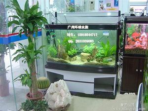 廣州海水觀賞魚廠家有哪些（廣州水族器材市場(chǎng)的現(xiàn)狀與未來(lái)隨著觀賞魚養(yǎng)殖業(yè)的發(fā)展） 其他水族品牌 第4張