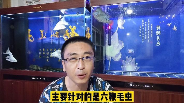 觀賞魚大白片能長期用嗎有毒嗎視頻（大白片是一種常用于治療觀賞魚內(nèi)寄生蟲、腸道感染等疾病）