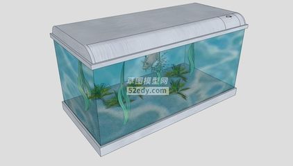 玻璃金魚缸制作方法（自制魚缸步驟詳解） 一眉道人魚苗 第2張