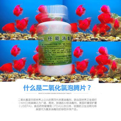 給觀賞魚消毒用什么最好（觀賞魚消毒劑的選擇） 狗仔招財(cái)貓魚 第4張