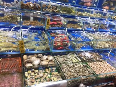 廣州觀賞魚店哪家好點（廣州水族館文化探秘） 魚缸風(fēng)水 第3張