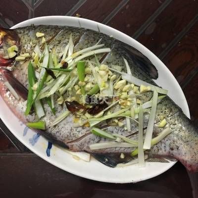 廣佛花魚之家怎么樣知乎推薦（廣佛花魚之家——廣州市花鳥魚蟲市場(chǎng)）