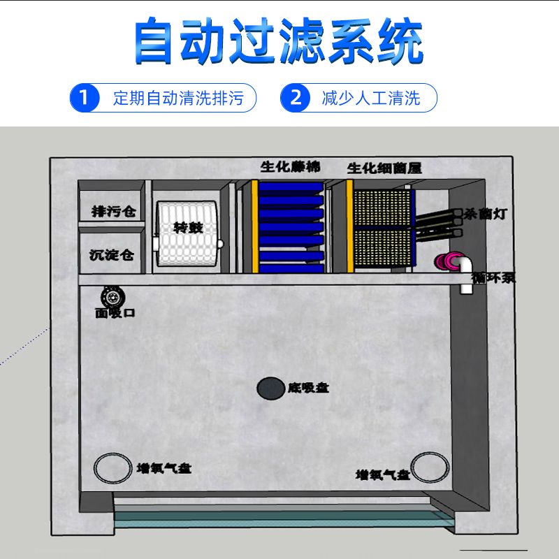 戶外魚池過濾設(shè)備（戶外魚池過濾設(shè)備的選擇） 熊貓異形魚L46 第1張