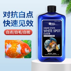 觀賞魚治療白點病用什么藥效果好 魚缸/水族箱 第4張