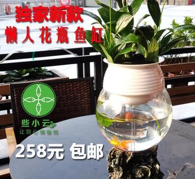 定做金魚缸多少錢一套?。ǘㄗ鼋痿~缸價(jià)格） 定時(shí)器/自控系統(tǒng) 第4張