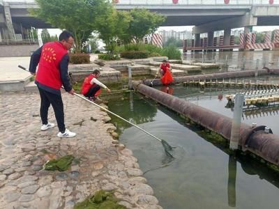 放魚養(yǎng)水生態(tài)護河（放魚養(yǎng)水是一種既簡單又有效的生態(tài)治理方式） 愛龍仕 第1張