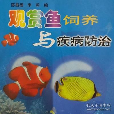 觀賞魚資料（觀賞魚的歷史演變探索觀賞魚的歷史演變探索觀賞魚的歷史） 泰國(guó)虎魚（泰虎） 第1張