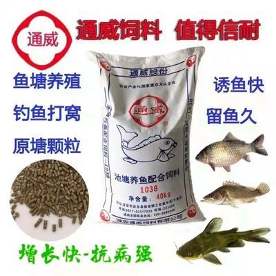 觀賞魚飼料釣魚好用嗎（觀賞魚飼料是否適用于釣魚取決于飼料的種類和觀賞魚） 武吉美拉金龍魚 第1張