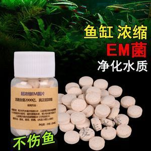 yee硝化細(xì)菌就是凈水劑（yee硝化細(xì)菌好用嗎？）