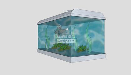 玻璃金魚缸是什么意思啊視頻（什么是玻璃金魚缸）