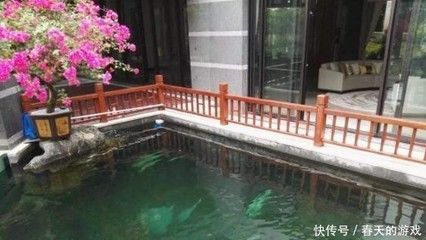 觀賞魚(yú)池養(yǎng)魚(yú)技巧和方法（《觀賞魚(yú)養(yǎng)殖技術(shù)》養(yǎng)觀賞魚(yú)的技巧和方法和技巧和方法）