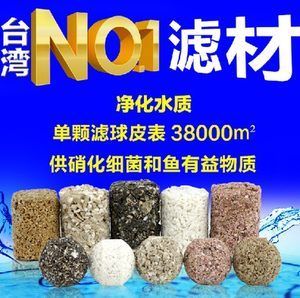 NO1硝化細(xì)菌（硝化細(xì)菌是一類專性好氧的細(xì)菌）