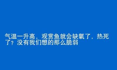 觀賞魚簡(jiǎn)介文案怎么寫（觀賞魚的簡(jiǎn)介文案） 帝王三間魚 第4張