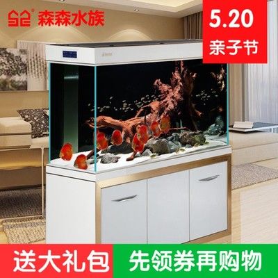 A家水族龍魚魚缸（2024龍魚缸十大品牌排行榜_龍魚缸品牌推薦） 黃金達(dá)摩魚 第4張