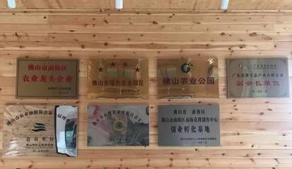 龍魚和薩伊藍(lán)能混養(yǎng)嗎圖片大全（混養(yǎng)龍魚和薩伊藍(lán)混養(yǎng)時水質(zhì)要求有什么特別之處嗎）