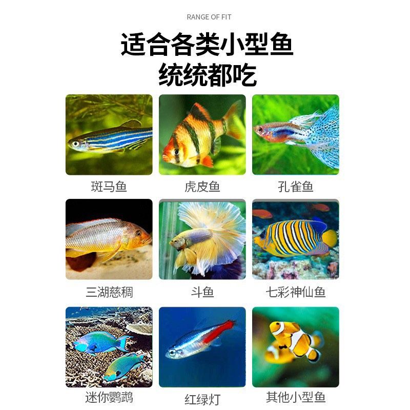 斗魚專用飼料哪個(gè)好（如何選擇斗魚專用飼料）