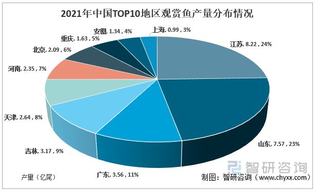 觀賞魚(yú)的前景如何（2023-2023-2029年中國(guó)觀賞魚(yú)行業(yè)發(fā)展動(dòng)態(tài)及投資前景分析） 豹紋夫魚(yú)苗 第2張