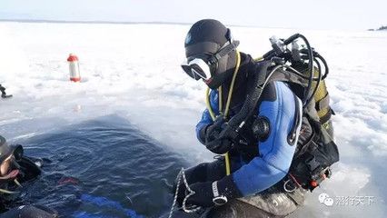 北極冰水泵有假的嗎（北極冰水泵真假辨別如何辨別真假北極冰水泵真假） 粗線銀版魚(yú) 第1張