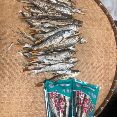 紅尾魚(yú)怎么釣用什么餌料（垂釣紅尾魚(yú)的具體方法和餌料選擇）