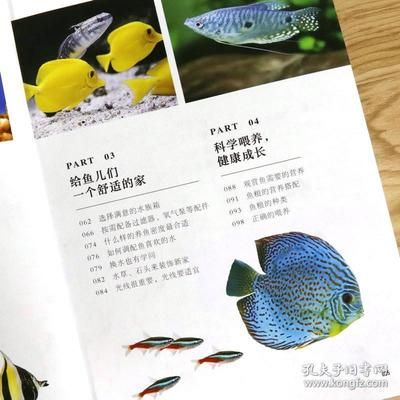 觀賞魚養(yǎng)魚知識點（關(guān)于觀賞魚養(yǎng)魚知識點的一些詳細解釋和介紹） 觀賞龜/鱉飼料 第4張