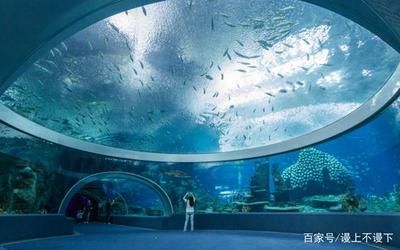 廣州哪里有水族館？（廣州哪里有水族館） 三間鼠魚(yú) 第1張