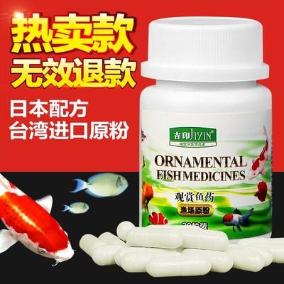 觀賞魚治療白點病用什么藥（觀賞魚疾病防治全攻略） 水草 第3張