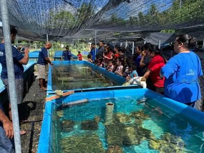 觀賞魚繁殖基地排名榜（“觀賞魚繁殖基地排名榜”，觀賞魚繁殖基地排名榜） 廣州孟吉爾 第2張