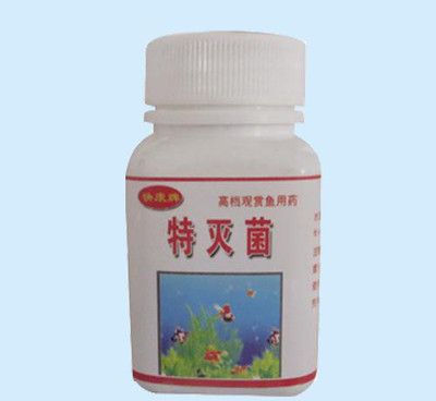 觀賞魚常備藥（觀賞魚用藥及其用途） 大正錦鯉魚 第1張