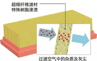 過濾材多久換一次（過濾材的更換頻率） 巨骨舌魚 第2張