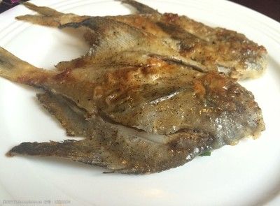 白鯧魚（白鯧魚的處理方法） 龍魚芯片掃碼器 第1張