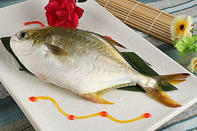 斗鯧魚(yú)（斗鯧魚(yú)的營(yíng)養(yǎng)解析） 黑云魚(yú) 第3張