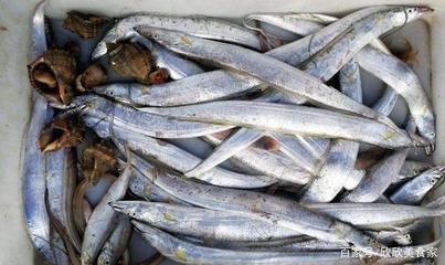 戶外觀賞魚池帶魚消毒方法（戶外觀賞魚池帶魚消毒的方法） 貝因美 第3張