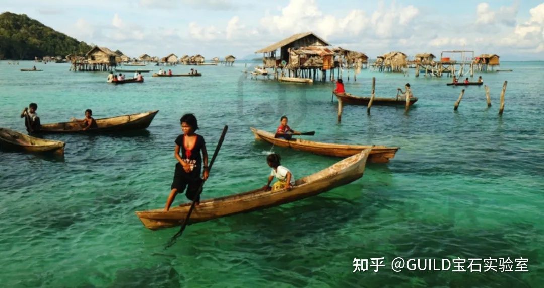 觀賞魚生意怎么樣好做嗎知乎（觀賞魚產(chǎn)業(yè)鏈價(jià)值重塑產(chǎn)業(yè)鏈價(jià)值重塑觀賞魚產(chǎn)業(yè)鏈價(jià)值） 沖氧泵 第3張