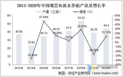 觀賞魚的市場需求多大合適（中國觀賞魚行業(yè)發(fā)展動態(tài)及投資前景分析） 天王紅龍 第1張