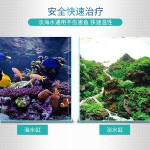 觀賞魚治療內(nèi)寄（如何治療觀賞魚內(nèi)寄的自然療法） 網(wǎng)上購買觀賞魚 第4張