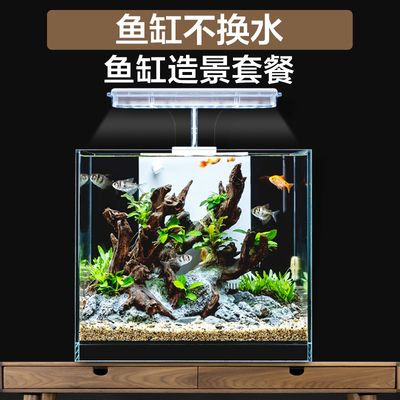 超白金魚缸哪個(gè)牌子好用（超白金魚缸品牌推薦）