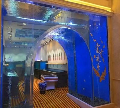 廣州金魚缸定做店（廣州水族市場(chǎng)探秘廣州水族市場(chǎng)探秘廣州水族市場(chǎng)） 金老虎魚 第3張